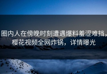 圈内人在傍晚时刻遭遇爆料羞涩难挡，樱花视频全网炸锅，详情曝光