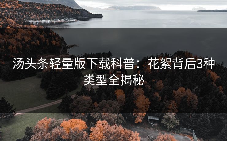 汤头条轻量版下载科普：花絮背后3种类型全揭秘
