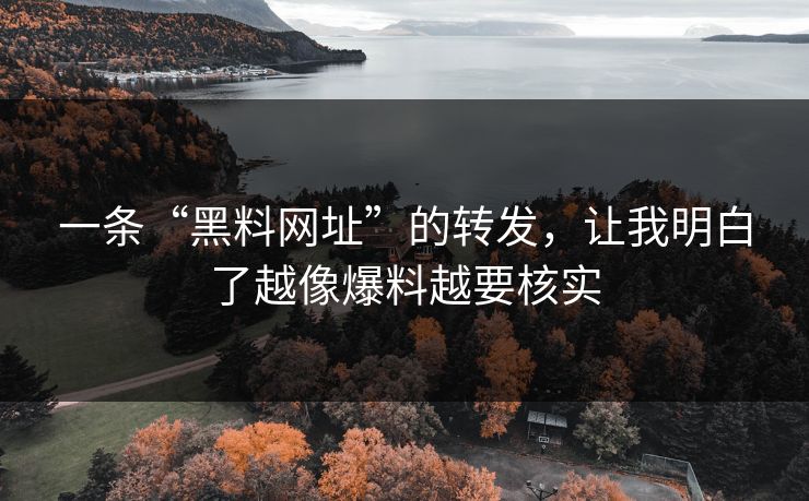 一条“黑料网址”的转发，让我明白了越像爆料越要核实