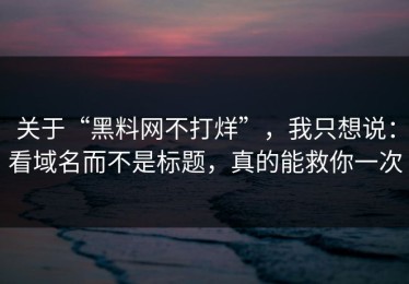 关于“黑料网不打烊”，我只想说：看域名而不是标题，真的能救你一次