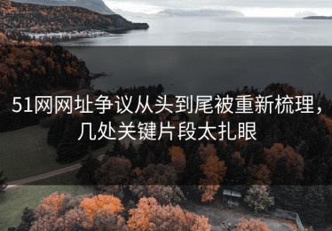 51网网址争议从头到尾被重新梳理，几处关键片段太扎眼