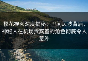 樱花视频深度揭秘：丑闻风波背后，神秘人在机场贵宾室的角色彻底令人意外