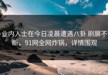业内人士在今日凌晨遭遇八卦 刷屏不断，91网全网炸锅，详情围观