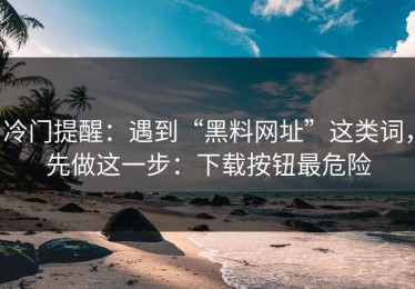 冷门提醒：遇到“黑料网址”这类词，先做这一步：下载按钮最危险