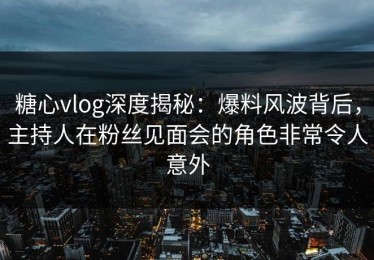 糖心vlog深度揭秘：爆料风波背后，主持人在粉丝见面会的角色非常令人意外