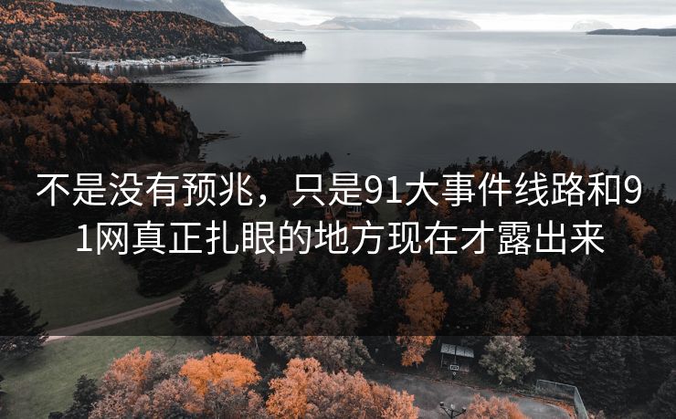 不是没有预兆,只是91大事件线路和91网真正扎眼的地方现在才露出来 不是没有预兆,只是91大事件线路和91网真正扎眼的地方现在才露出来